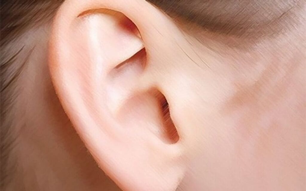 Medição de altura de segmento para lentes progressivas com cliente presente na ótica