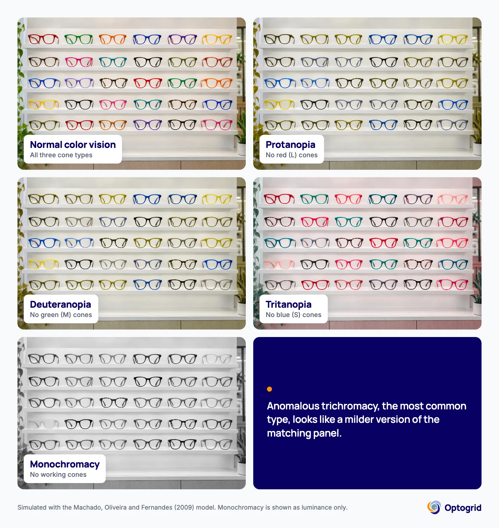 The same optical shop frame display simulated for normal color vision, protanopia, deuteranopia, tritanopia and monochromacy