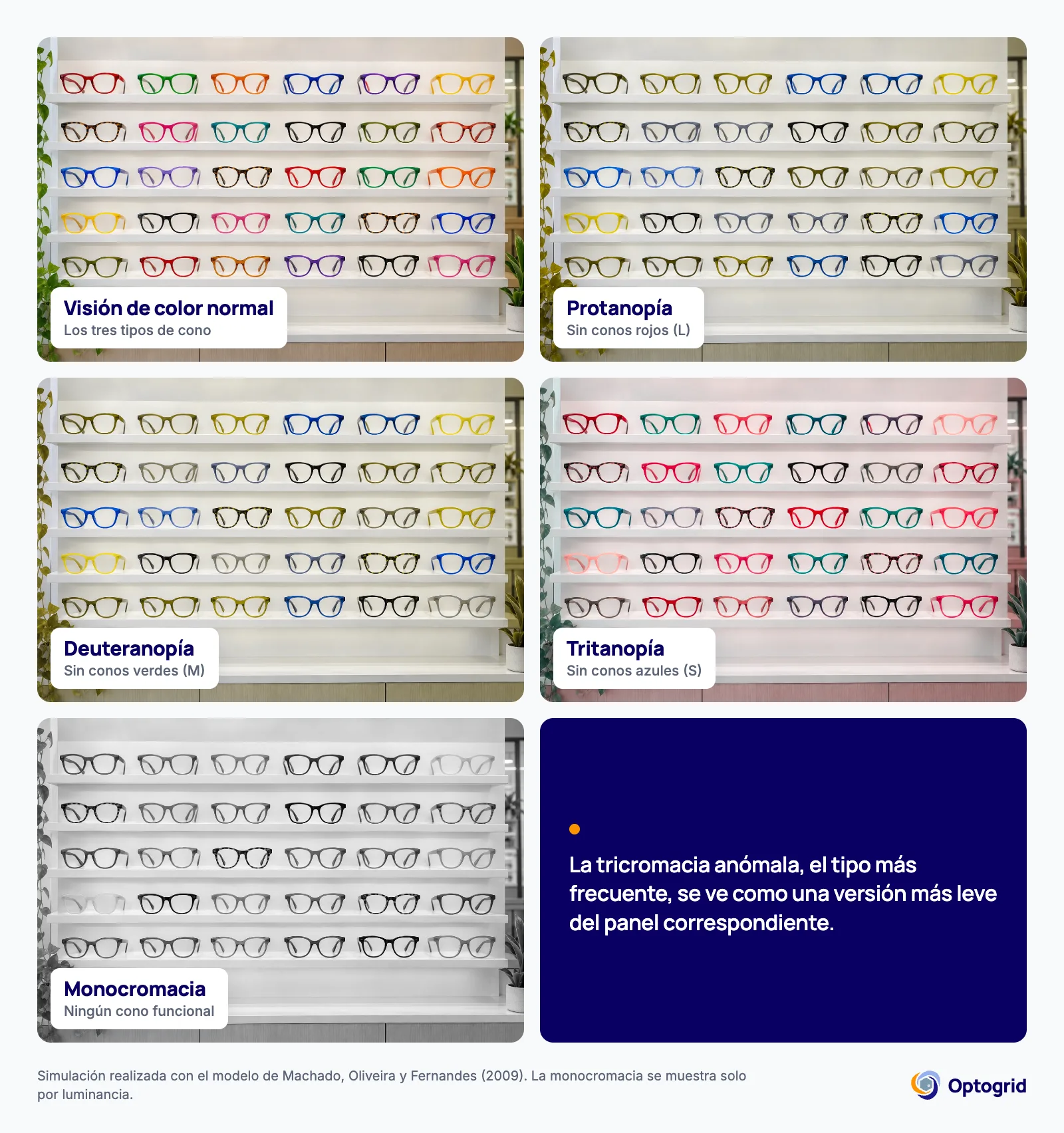 El mismo exhibidor de monturas de una óptica simulado para visión de color normal, protanopía, deuteranopía, tritanopía y monocromacia